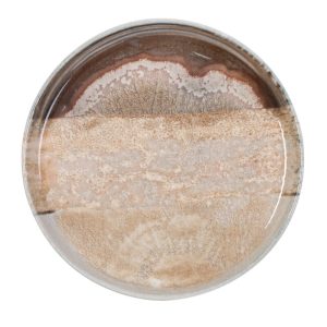 Πιάτο επίπεδο Natura Ø21cm x 2.5cm