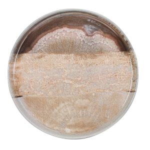 Πιάτο επίπεδο Natura Ø27cm x 2.5cm