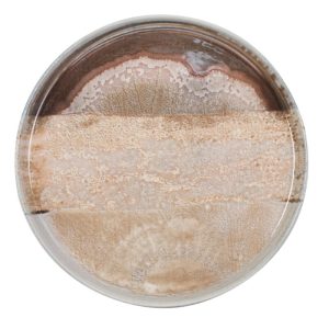 Πιάτο επίπεδο Natura Ø30cm x 2.5cm